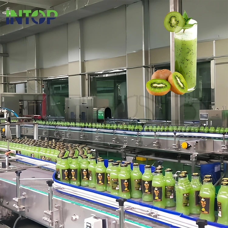 Mstari wa Uzalishaji wa Juisi ya Kiwi